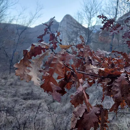 Golemi Kamik Vlasi 2 Lejlighed