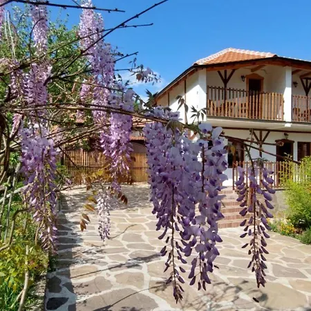 Lejlighed Golemi Kamik Vlasi 2 Pirot