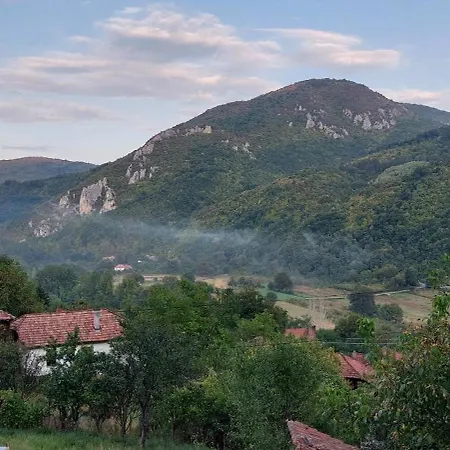 Golemi Kamik Vlasi 2 Apartament Pirot