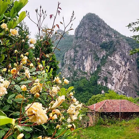 Lejlighed Golemi Kamik Vlasi 2 *