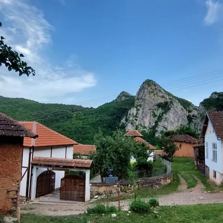 Golemi Kamik Vlasi 2 * Pirot