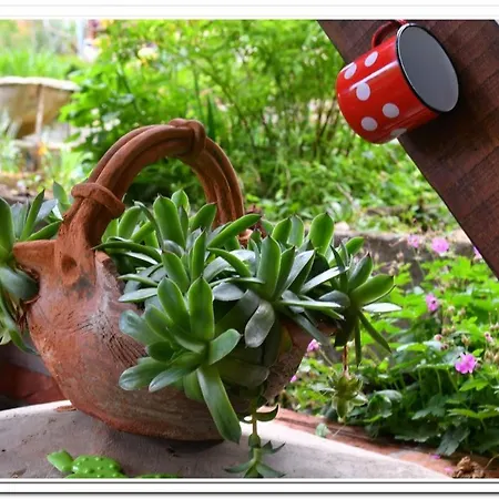 Lejlighed Golemi Kamik Vlasi 2 *